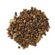 Cardamome poudre tubo 330ml 95g